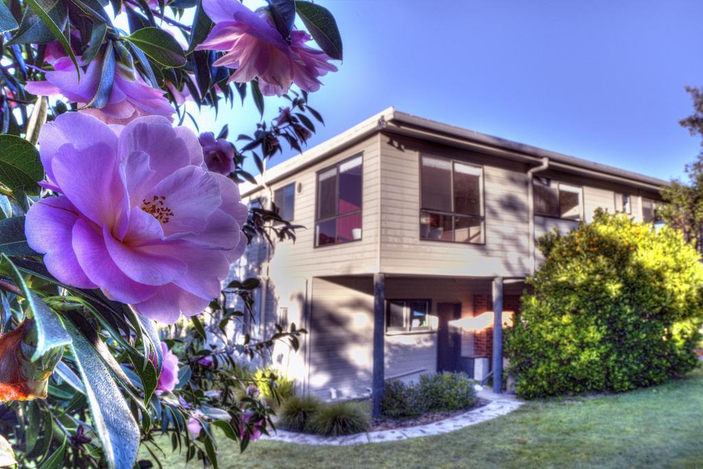 Cove Beach Apartment 2 コールズ・ベイ エクステリア 写真